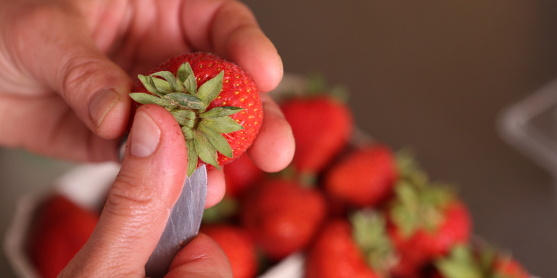Erdbeeren